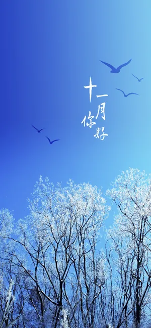 十一月秋风呼呼
