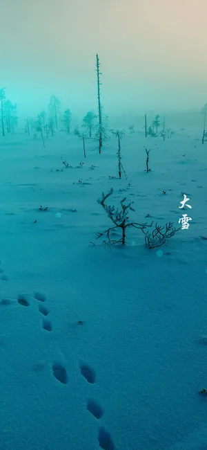 厚厚的积雪