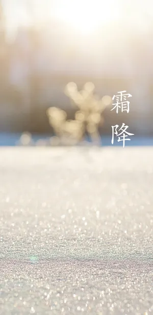 霜降时节霜满天