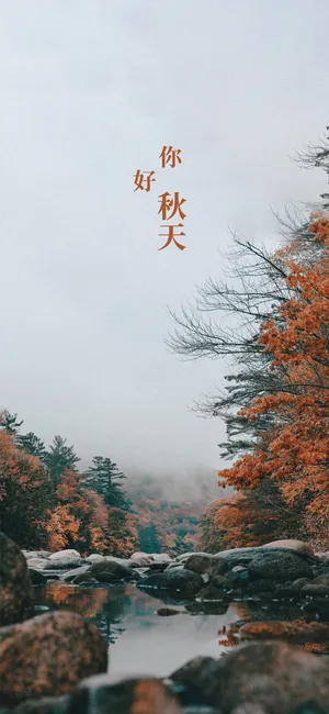 秋天林下不知春