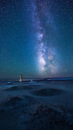 来一场追星之旅
