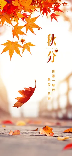白露一旬后，秋分三日前