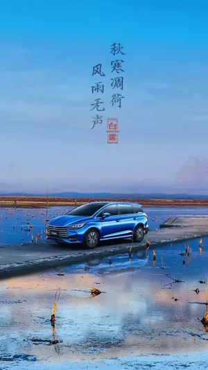 秋寒凋荷，风雨无声
