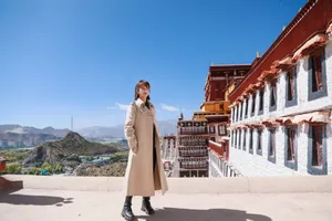杨紫秋日风衣恬静写真图片_3