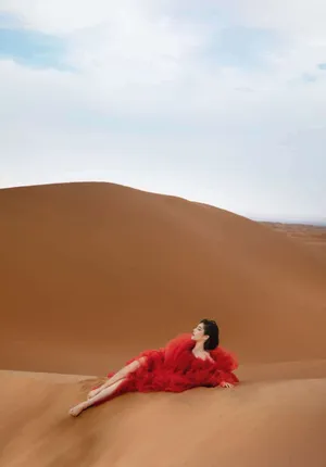 赵奕欢红纱裙性感沙漠写真图片_3
