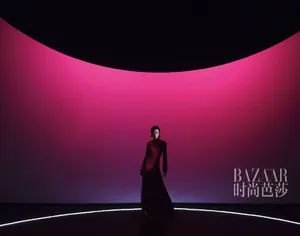 万茜钢管舞魅力写真大片_2