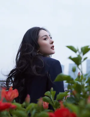 杨幂西装短裙性感写真图片_17