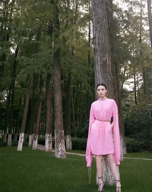 宋佳粉裙优雅迷人写真图片_5