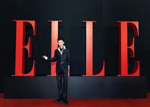 王琳凯ELLE风尚大典帅气图片写真_8