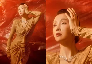 陶虹优雅性感活动照图片