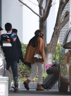 杨幂棕色西装休闲时髦机场照图片