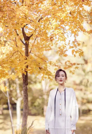 王鸥秋色意境唯美时尚写真图片_3