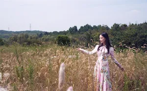 黄圣依粉色印花裙写真图片_2