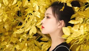 孟子义丸子头俏皮养眼写真图片_2