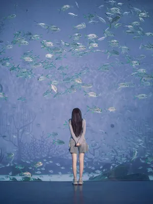 程潇海洋馆甜美清新写真图片_7