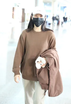 王智棕色上衣恬静温柔机场照图片