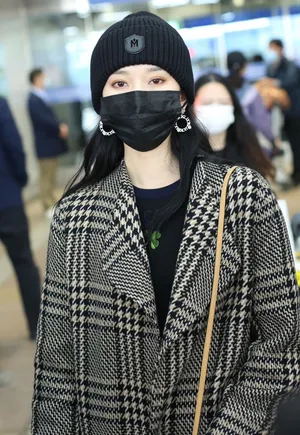 刘令姿格纹外套时髦美艳机场照图片