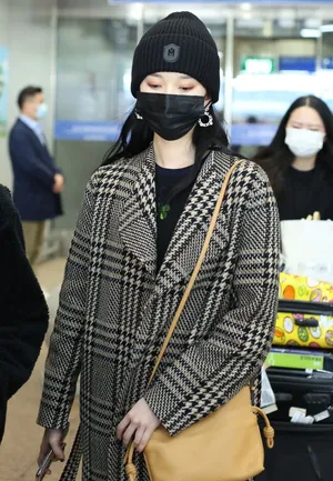 刘令姿格纹外套时髦美艳机场照图片_2