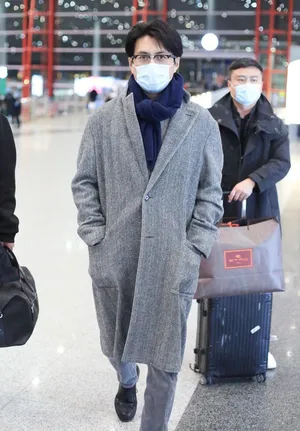 靳东灰色大衣气质儒雅机场照图片