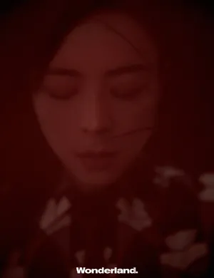 张静初新式女性大片写真图片_3