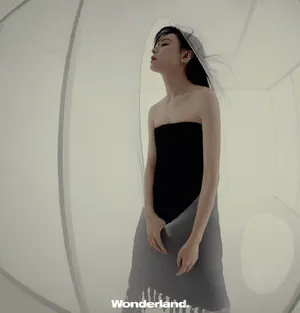 张静初新式女性大片写真图片_6