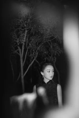 周迅羽毛旗袍冷艳优雅写真图片