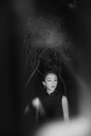 周迅羽毛旗袍冷艳优雅写真图片_4