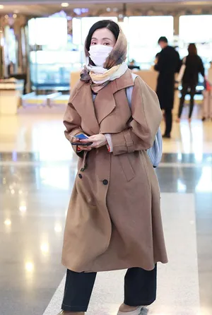 陶虹裹头巾低调美丽机场照图片_3
