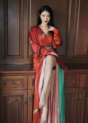 徐冬冬黑长直造型古典性感写真_2