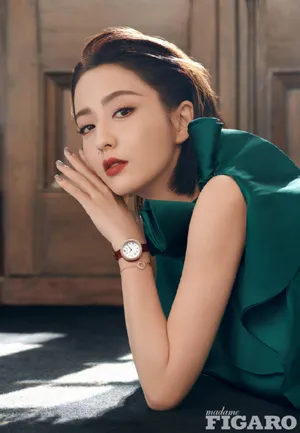 佟丽娅长裙复古优雅美丽写真图片_2
