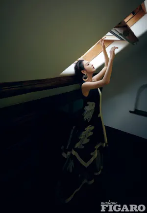佟丽娅长裙复古优雅美丽写真图片_4