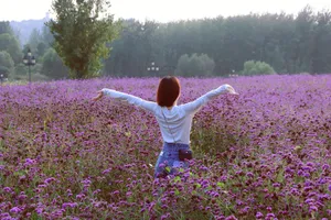 杜雨宸花间清秀写真图片_5