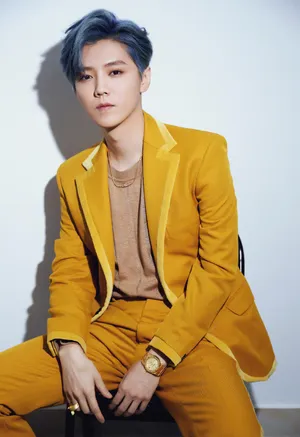 鹿晗姜饼人西装精致写真图片_5