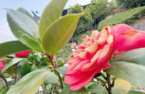 王瑞子生活照图片_7