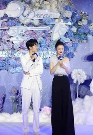 王瑞子斜肩上衣气质活动照图片_3