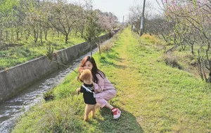 王瑞子粉色工装服户外唯美照片_1