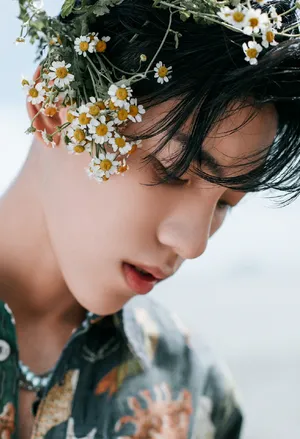 王子异海边花卉写真大片_6