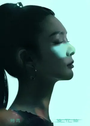 傅菁最新时尚光影写真图片_3