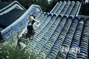 秦牛正威优雅时尚写真图片_8