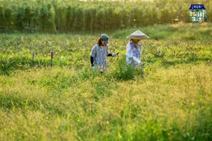 张子枫欧阳娜娜田园写真_8