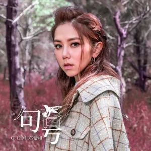 邓紫棋《摩天动物园》专辑写真图片_4