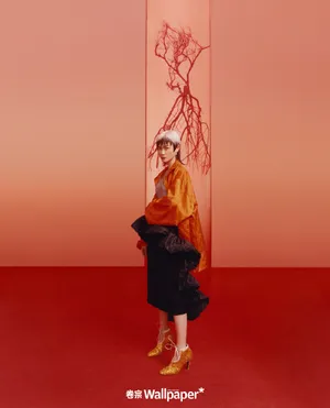 李宇春艺术封面大片写真图片_2