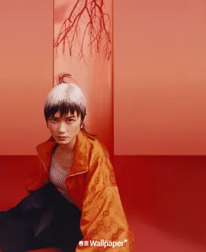 李宇春艺术封面大片写真图片_3