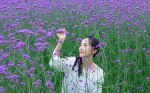 韩雪花间优雅性感写真图片_12