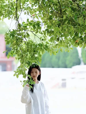 章若楠清秀甜美写真图片_5