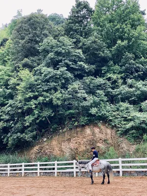 杨玏休闲帅气写真图片_10