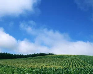 1280蓝天白云 第四辑_15