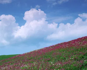 1280蓝天白云 第三辑_8