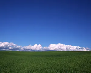 1280蓝天白云 第一辑_7