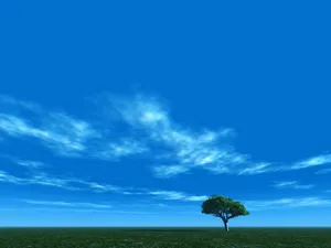 1024蓝天白云 第七辑_11